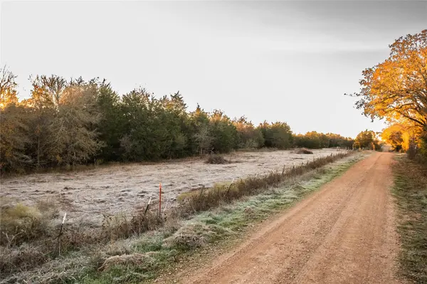 000 TBD 17+/- Ac Grassyville RD, Paige, TX 78659