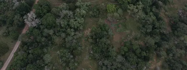LOT 2 Private Road 4601, Waelder, TX 78959