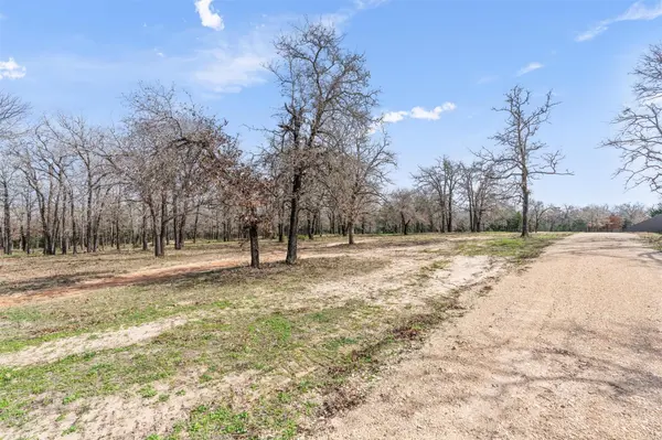 974 County Road 319, Rockdale, TX 76567