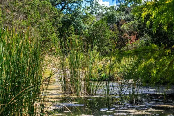 Address not disclosed, Burnet, TX 78611