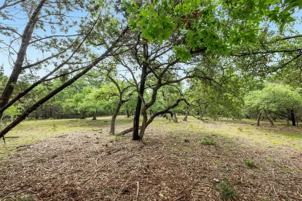 1005 Covered Bridge DR, Driftwood, TX 78619