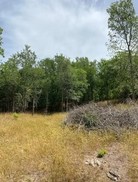 108 W Kikipua LN, Bastrop, TX 78602