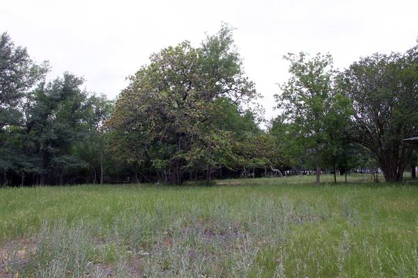 7887 Pettytown RD, Red Rock, TX 78662