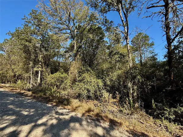 TBD Lots 1232 & 1233 Hanauma DR, Bastrop, TX 78602
