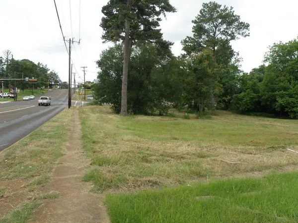 409 E Palestine Ave, Palestine, TX 75801
