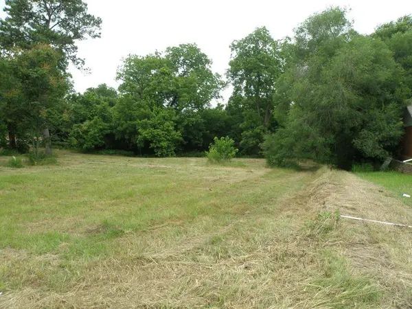 409 E Palestine Ave, Palestine, TX 75801