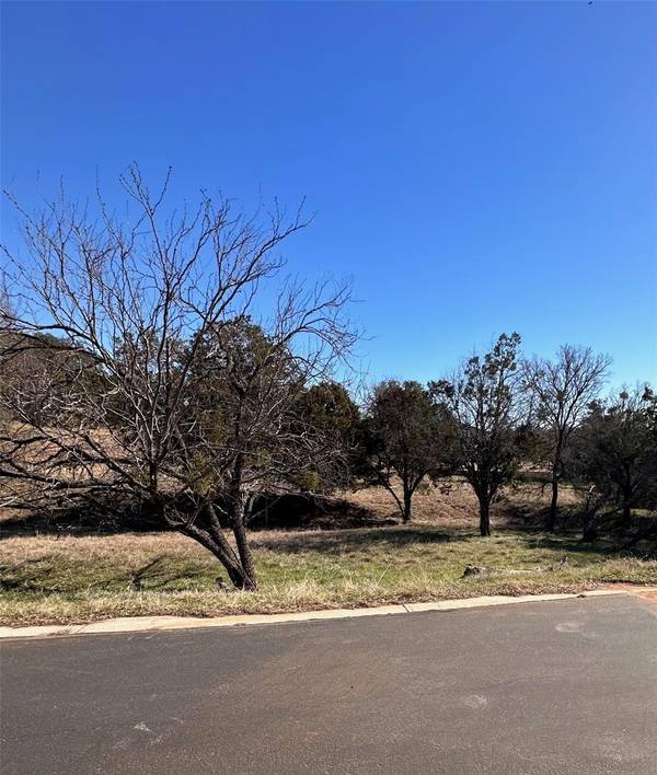 W2043 Purple Granite, Horseshoe Bay, TX 78657