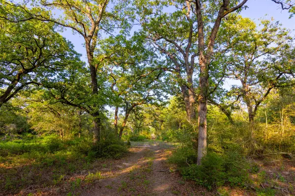 TBD S HWY 77, Rockdale, TX 76567