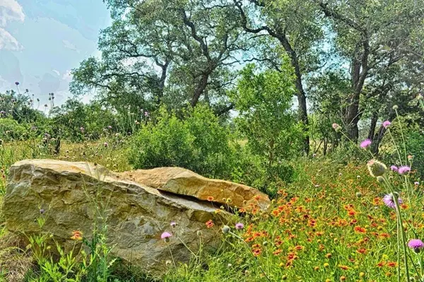 Lot 197 Marble Falls CT, Spicewood, TX 78669