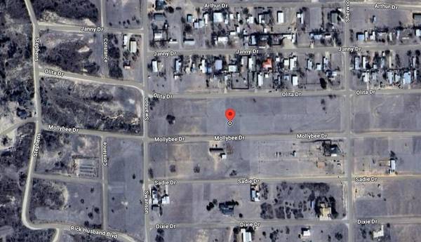 37 MOLLYBEE DR, Howardwick, TX 79226