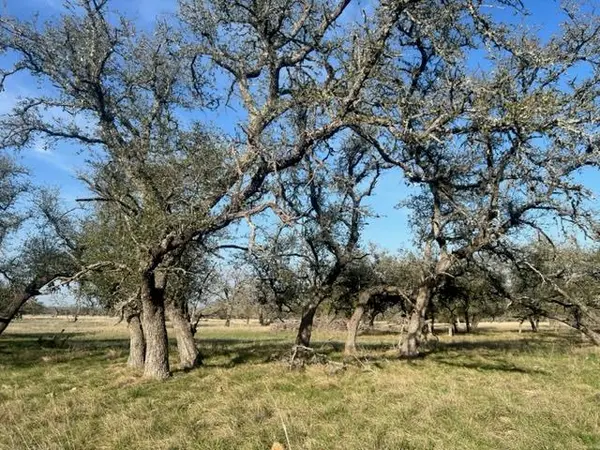 LOT 72 Fallow DR, Harper, TX 78631
