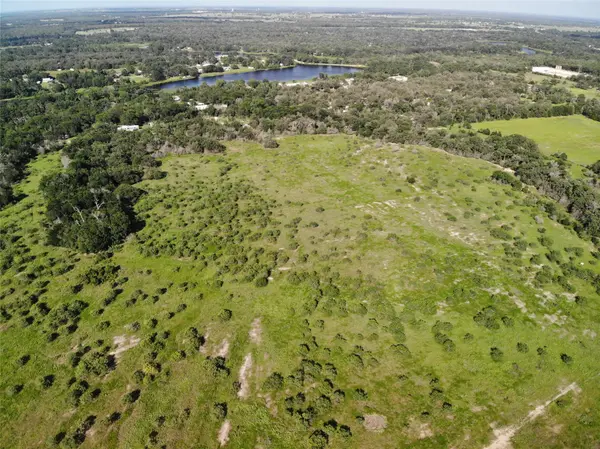 23.2218 Acres FM  908 RD, Caldwell, TX 77836