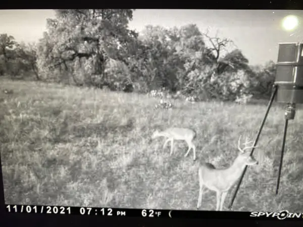 000A Union School House RD, Mason, TX 76856