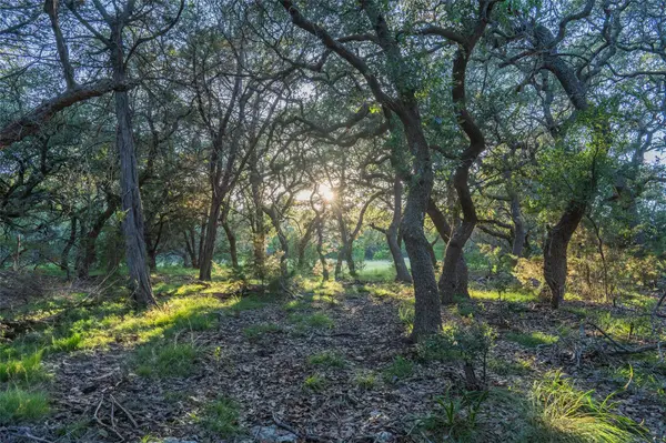 TBD Crabapple RD, Blanco, TX 78606