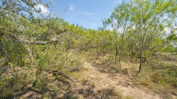 160 Brinley Mae WAY, Lockhart, TX 78644