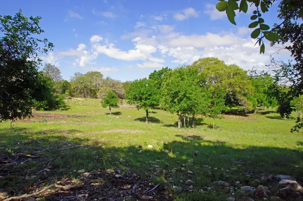 Lot 48 Bridget CT, Briggs, TX 78608