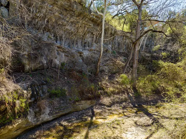 4501 Little Creek TRL, Spicewood, TX 78669