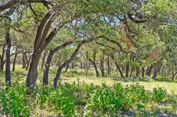 Tract 12 LewDele LN, Blanco, TX 78671