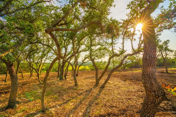 Address not disclosed, Dripping Springs, TX 78676