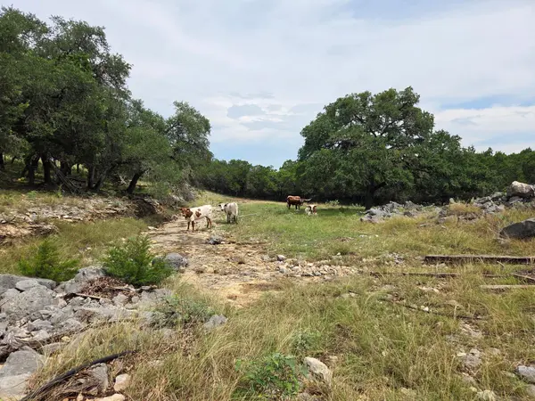 27846 Natural Bridge Caverns RD, San Antonio, TX 78266