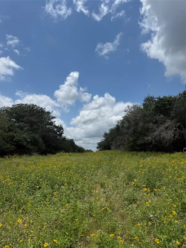 2135 Mule Creek RD, Harwood, TX 78632