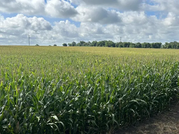 TBD Apple Cider RD, Temple, TX 76501