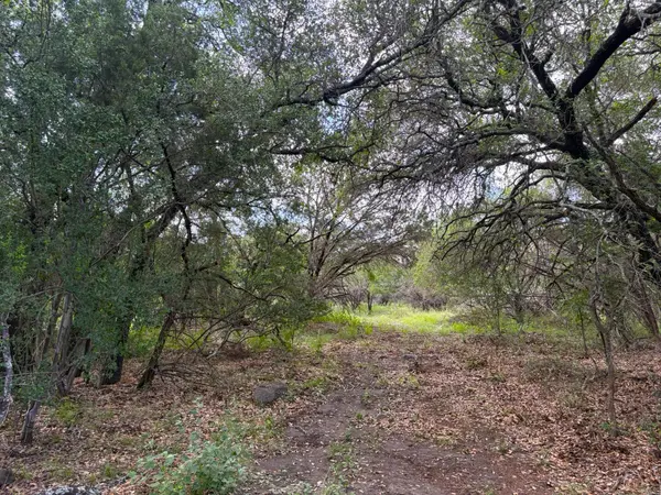 380 Sandy Mountain, Sunrise Beach, TX 78643