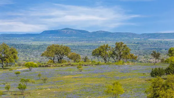 3531 RR 3347 - LOT 2, Round Mountain, TX 78663