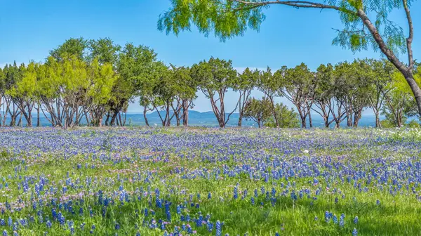 3531 RR 3347 - LOT 2, Round Mountain, TX 78663