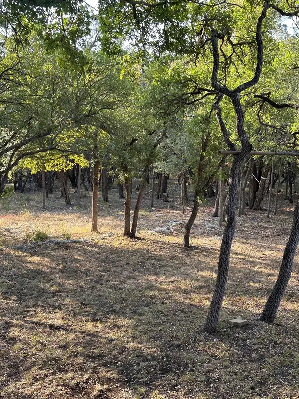 12333A Ranch Rd 12 #1, Wimberley, TX 78676