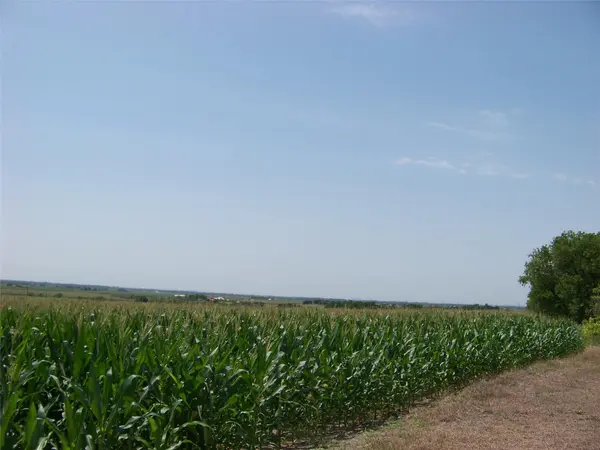 10650 Fm 971 RD, Granger, TX 76530
