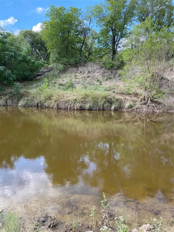 1975 Buffalo Creek DR, Evant, TX 76525