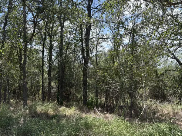 TBD Honolulu LN, Bastrop, TX 78602