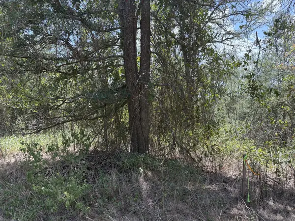 TBD Honolulu LN, Bastrop, TX 78602