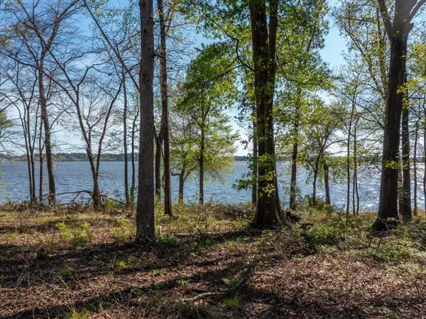 3108 Shadow Pine DR, Larue, TX 75770