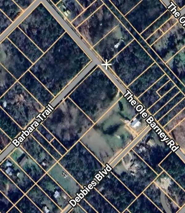 133 Barbara TRL, Livingston, TX 77351