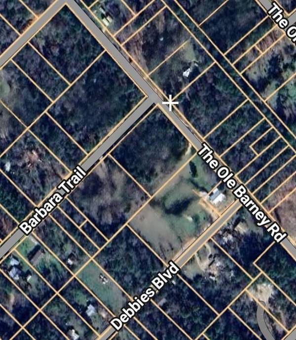 133 Barbara TRL, Livingston, TX 77351