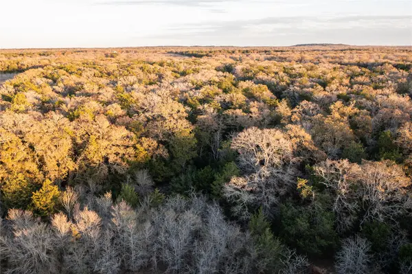 0000 TBD 21+/- Ac Grassyville RD, Paige, TX 78659