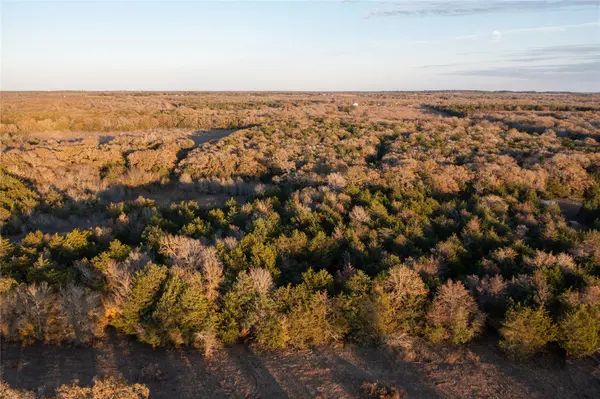 0000 TBD 21+/- Ac Grassyville RD, Paige, TX 78659