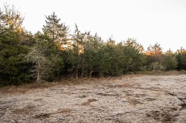 0000 TBD 21+/- Ac Grassyville RD, Paige, TX 78659