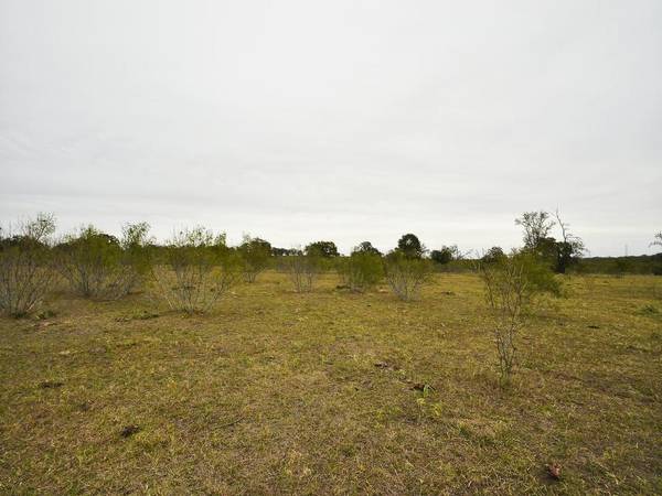 277 FM 672, Dale, TX 78616
