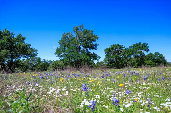480 Blue Creek DR, Dripping Springs, TX 78620