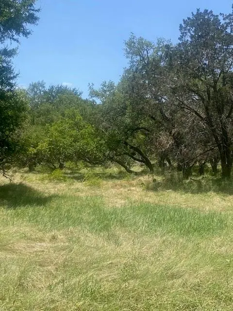 3 Becky LN, Bertram, TX 78605