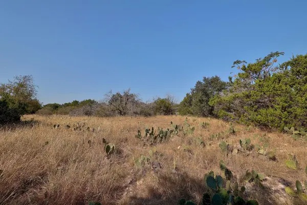 123 Appaloosa CV, Jarrell, TX 76537