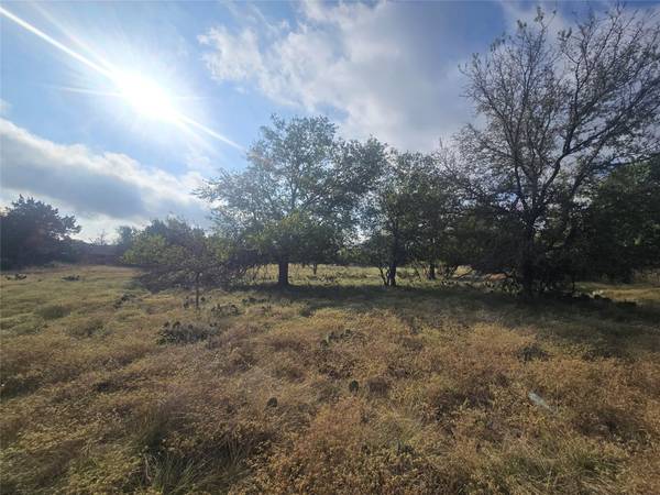 36 Blue Roan DR, Belton, TX 76513