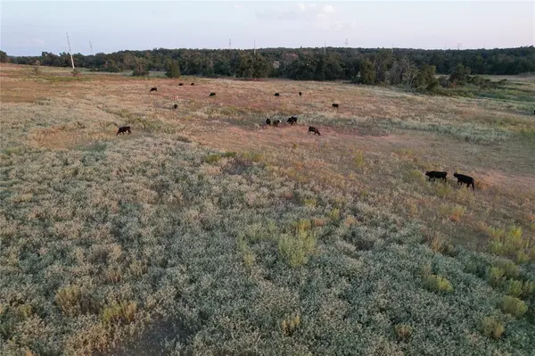TBD County Road 449, Thorndale, TX 76577