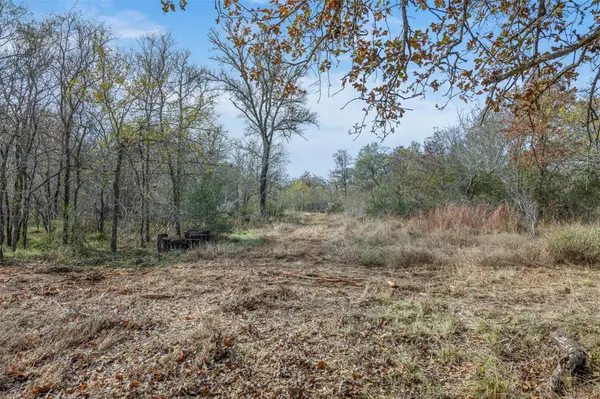 766 Bugtussle LN, Luling, TX 78648