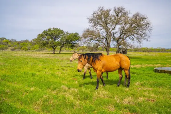 3019 S Highway 16, Llano, TX 78643