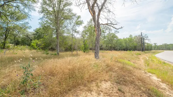 960 Ferguson LOOP, Dale, TX 78616