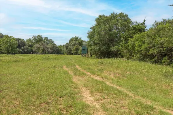 06 CR 212, Hallettsville, TX 77964
